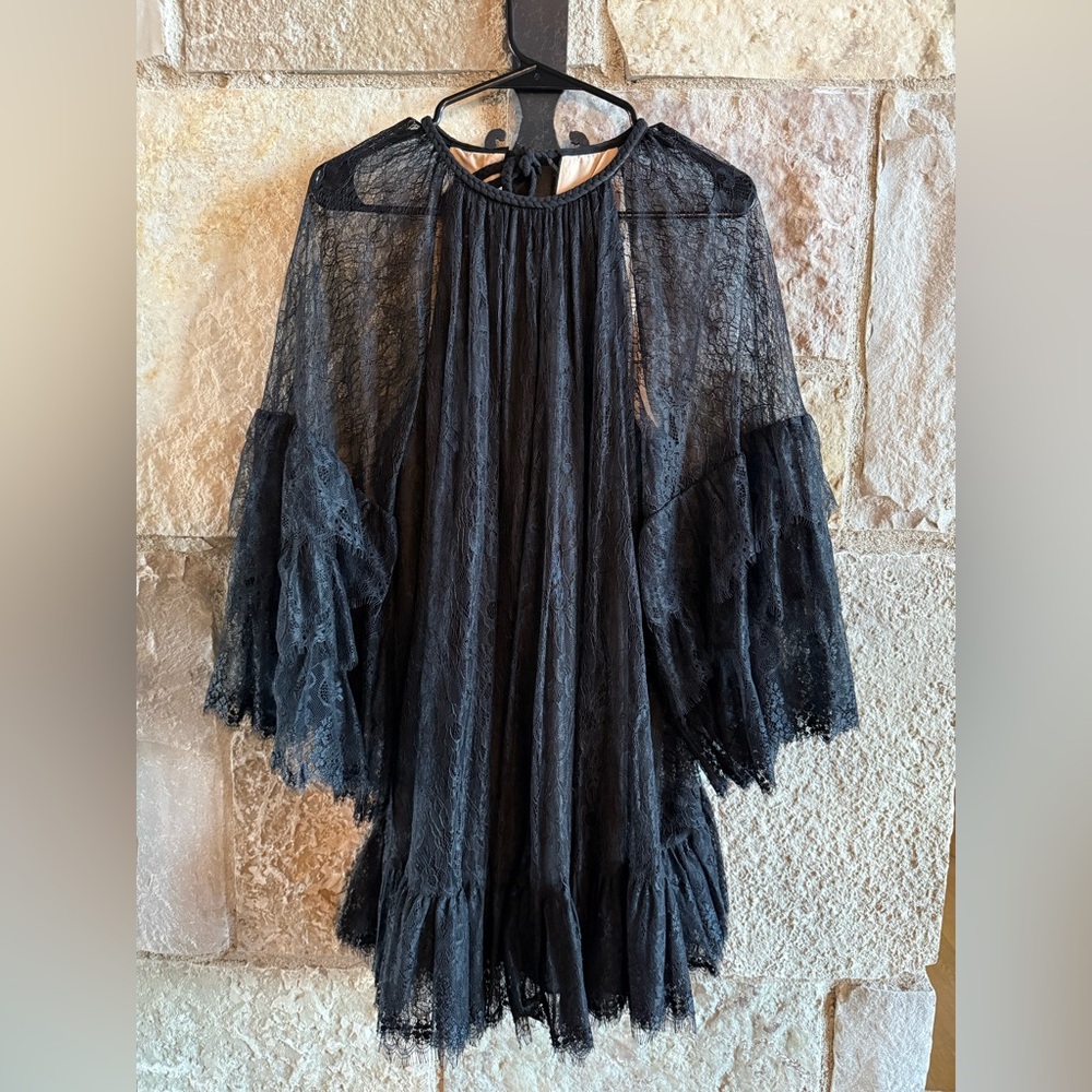 Alice + Olivia Black Lace Dress with Nude Lining